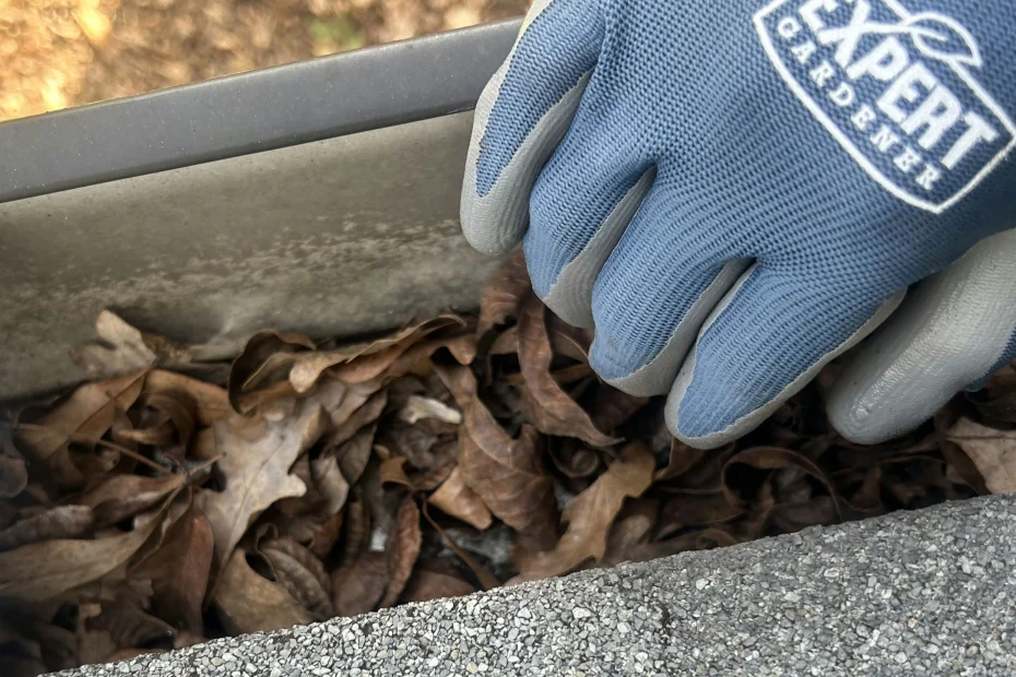 Gutter Cleaning Katy, TX