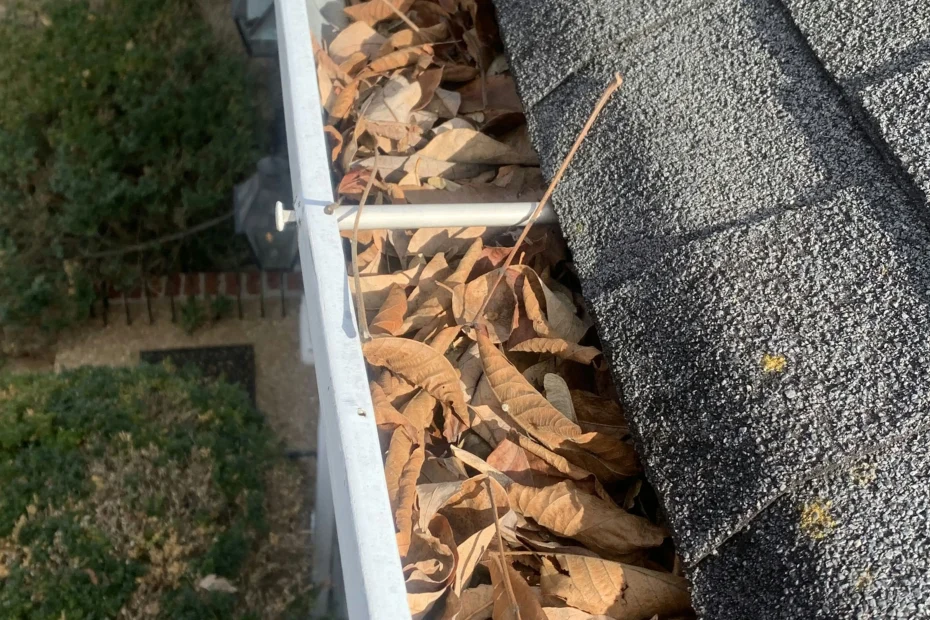 Gutter Cleaning Katy, TX